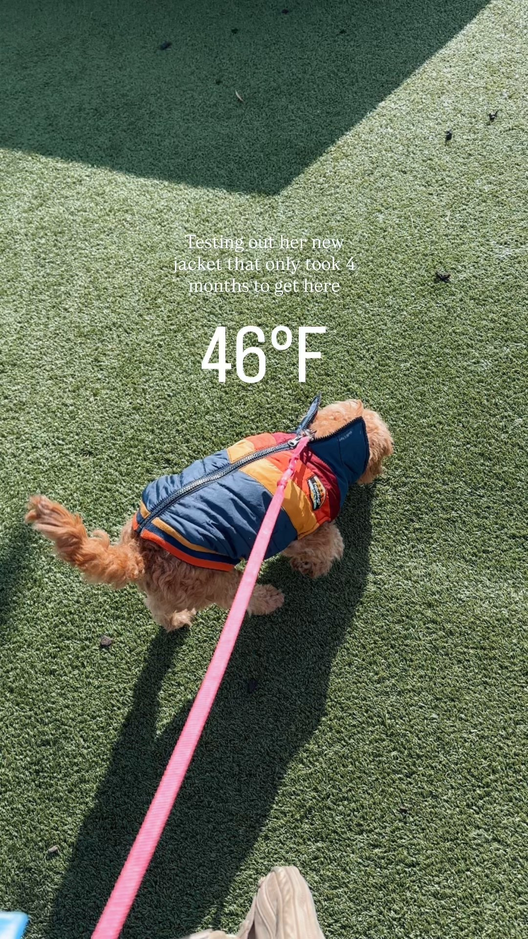 #LTKdayinmylife #LTKootd #LTKSeasonal