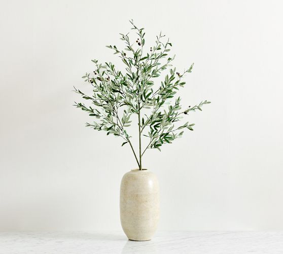 Traditional Faux Olive Branch | Pottery Barn (US)