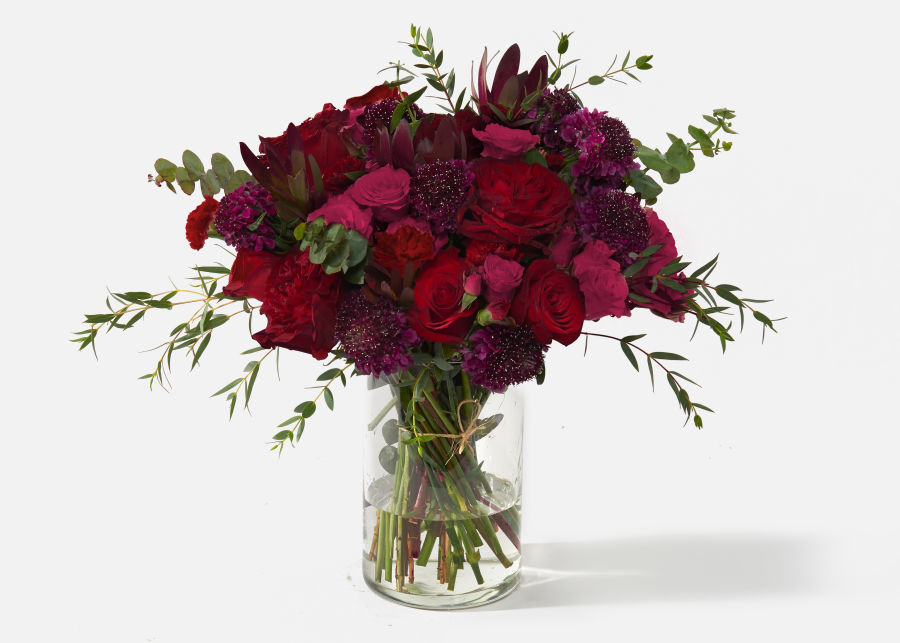 Double the Darcy | UrbanStems