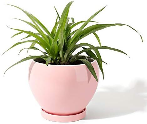 POTEY 052403 Ceramic Plant Pot Planter - 6.7 Inches Pink Planter for Indoor Plants Flower Succule... | Amazon (US)