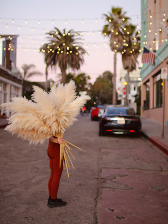 PAMPAS GRASS (3 CT)  -  Natural Dried Pampas Grass Decor, Reed Plume, Dry Boho Wedding Flower Arr... | Etsy (US)