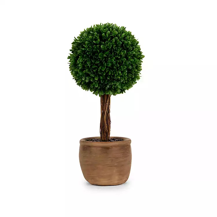 Boxwood Arrangement in Neutral Vase | Kirklands