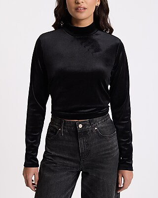 Velvet Mock Neck Long Sleeve Tee | Express