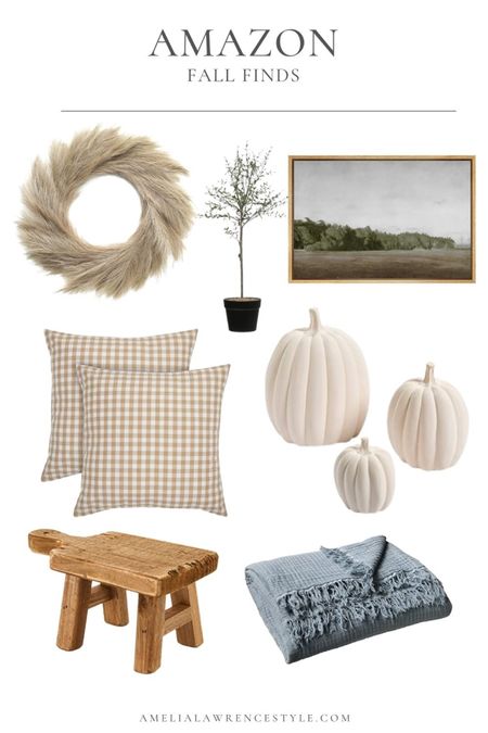 Amazon home decor. Amazon fall decor, fall decor, pumpkin, living room, fall wreath, fall pillows, fall throw

#LTKunder50 #LTKSeasonal #LTKhome