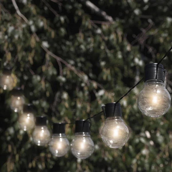 Elberta 20' Outdoor LED Solar Powered 10 - Bulb Globe String Light | Wayfair North America