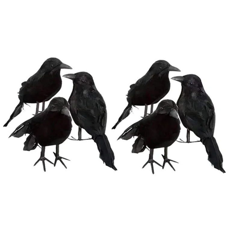 6 Pieces Halloween Black Crows Feathered Crows Halloween Decorations Crows Realistic Looking Rave... | Walmart (US)
