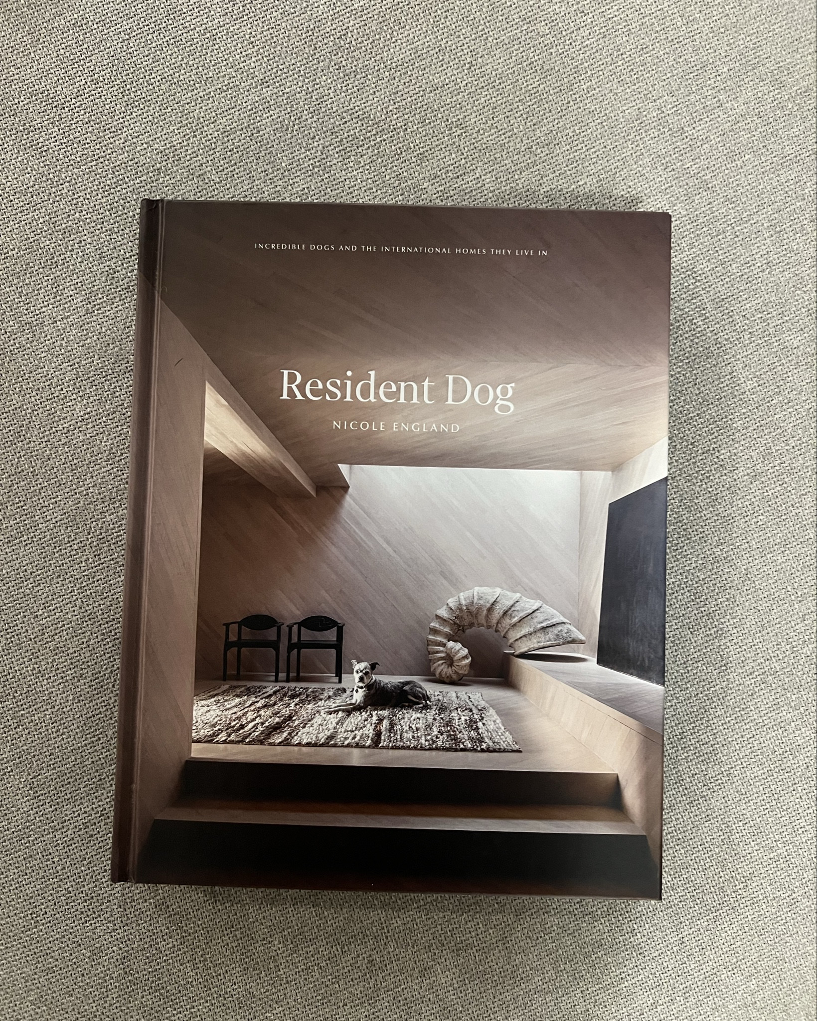 Coffee table book - coffee table decor

Book: resident dog

#LTKFindsUnder50 #LTKStyleTip #LTKHome