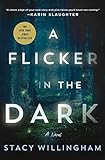 Amazon.com: A Flicker in the Dark: A Novel: 9781250803825: Willingham, Stacy: Books | Amazon (US)
