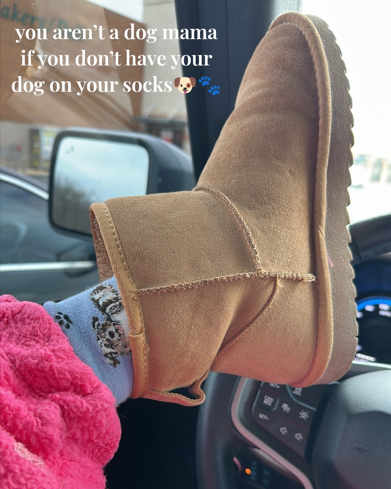 the cutest socks for any pet parent!🐶🐾

#LTKootd #LTKSaleAlert #LTKFindsUnder50