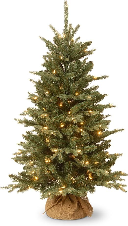 National Tree Company Pre-lit Artificial Mini Christmas Tree | Includes Small Lights and Cloth Ba... | Amazon (US)
