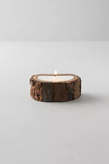 Evergreen Tree Bark Candle | Anthropologie (US)