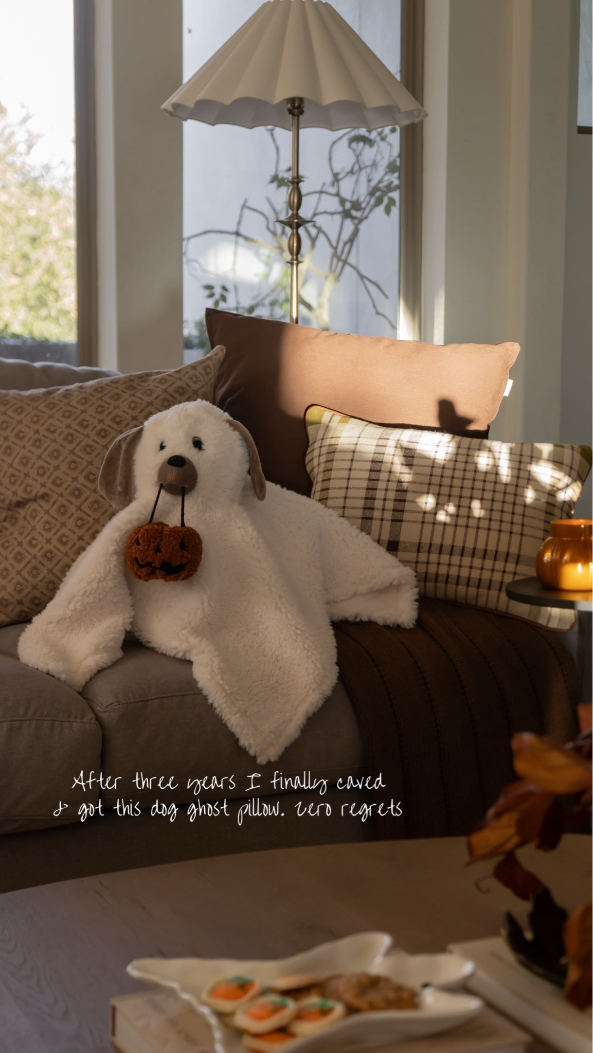 Cutest little dog ghost pillow 👻🎃

#LTKSeasonal #LTKHome
