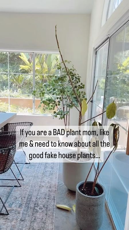 Don’t beat yourself up for being a bad plant mom! We’re not all cut-out for this business! 🤷🏼‍♀️

Nothing wrong with a good fake plant! 👍🏻

#faketree #ficustree #homedecor #diningroom #targetfinds 

#LTKhome #LTKxTarget