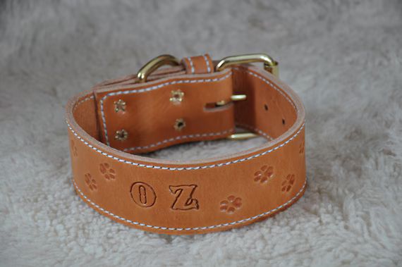 Custom Made Leather Dog Collar 2 inches Wide with Free Personalization Made to fit YOUR Dog | Etsy (US)