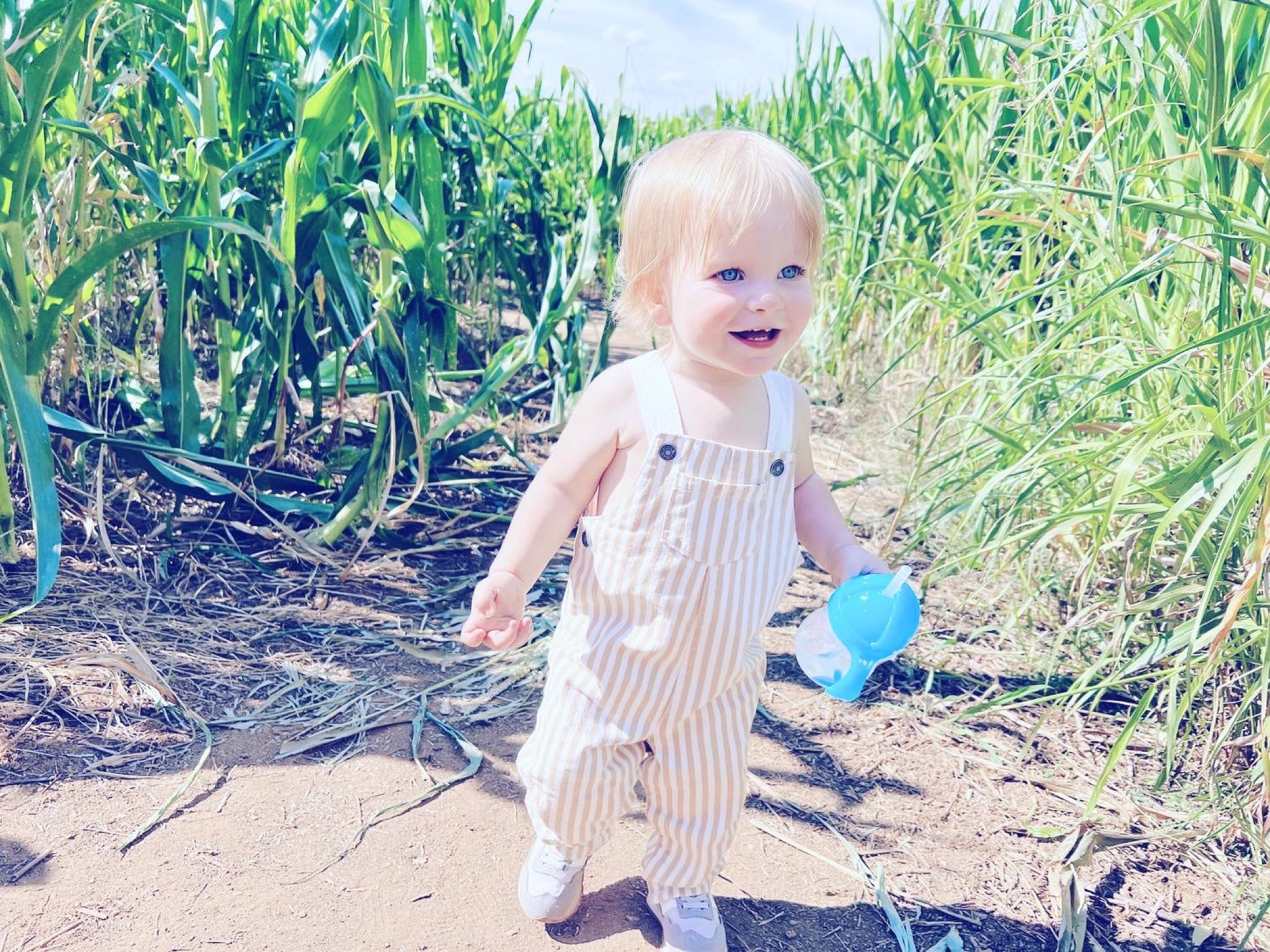 Sweet Judson had himself a ball at the @denverdowns corn maze and farm today 🌽🚜 - we sure do love our little blue-eyed, outdoor-lovin’ country boy!!!👼🏼🐮 #cornmazefun #denverdownsfarm #fallfridayfunday

PS. And after our fun time at the farm, we took Judson to one of my favorite college spots - @smokingpigbbq - for dinner - and he was a fan!!! 🤍😋🙌🏽 the sweetest friday fam day back in the Clemson area - and bringing back so many memories!!! 🥰🫶🏽✨

…

#judsoncarpentermabry #sixteenmonthsold #sixteenmonthold #sixteenmontholdbaby #sixteenmontholdboy #judsonmonthbymonth #sweetjudson #oursweetboy #oneyearold #oneyearoldbaby #oneyearoldbabyboy #oneyearoldboy #gratefulmotherhood #hellofall #helloautumn #octobermemories #hellooctober #denverdownsfarm #denverdowns #countrybaby #countrybabyboy

#LTKSeasonal #LTKbaby #LTKfamily