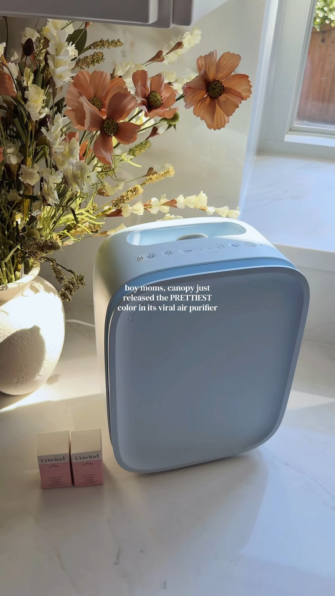 Sleeping better starts with cleaner air 🌙 The Canopy Bedside Air Purifier in Hydrangea is compact enough for my nightstand and quiet enough for my bedroom. It’s also on sale for 35% off right now.

#CanopyAirPurifier #BedsideAirPurifier #AirPurifier #CleanAirHome #BedroomEssentials