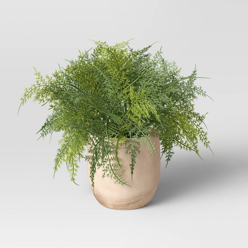 Large Asparagus Fern - Threshold&#8482; | Target