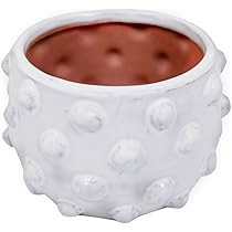 Creative Co-Op White Terracotta Bubbled Design Planter Pot | Amazon (US)