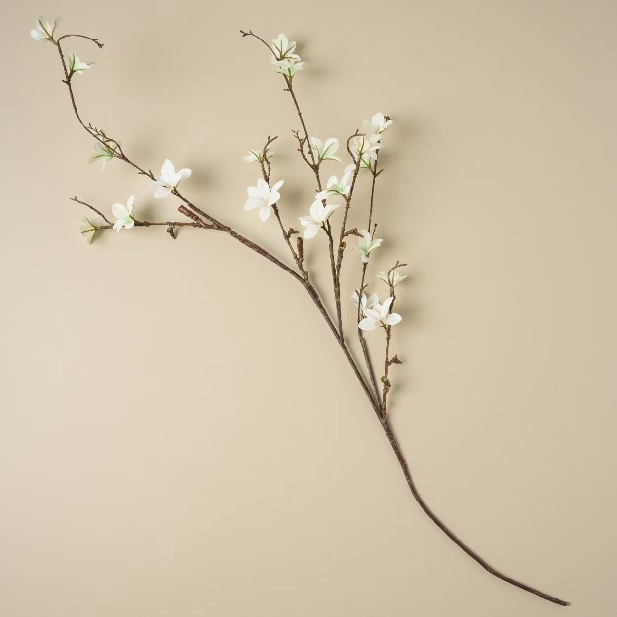 White Magnolia Bloom Spray | Magnolia