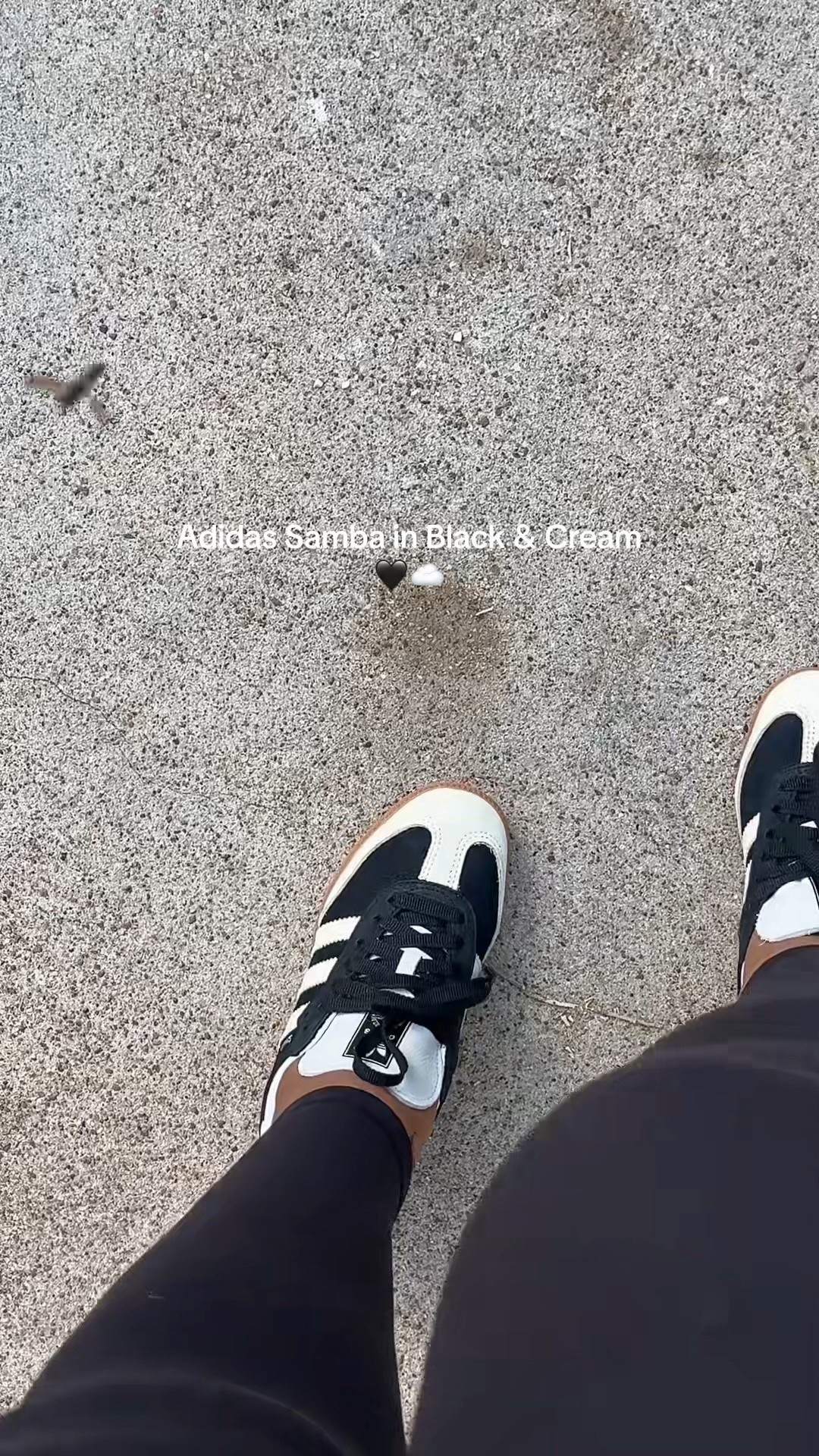 New sneakers -  size down 1/2 or 1 
Sneakers 
Adidas 
Adidas samba 
Samba 
Shoes 

Follow my LTK @styledbylynnai on the @shop.LTK app to view this post and get my exclusive app-only content!

#liketkit #LTKHoliday #LTKGiftGuide #LTKStyleTip
@shop.ltk
https://liketk.it/5v0nF