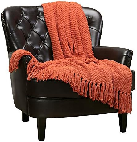 Chanasya Textured Knitted Super Soft Throw Blanket with Tassels - Warm Fluffy Plush Knit - for Fa... | Amazon (US)