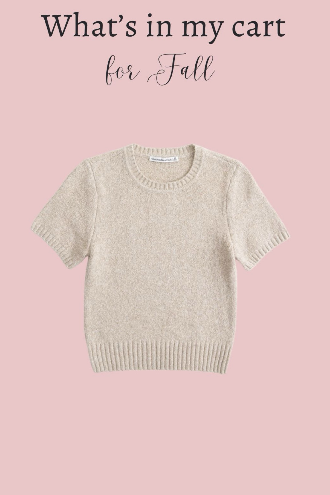What’s in my cart for fall, short sleeve sweater  

#LTKStyleTip #LTKWorkwear #LTKFindsUnder100