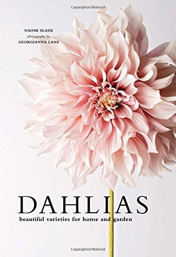 Dahlias: Beautiful Varieties for Home & Garden | Amazon (US)