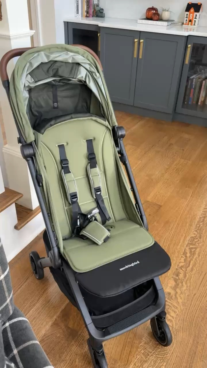 Obsessed with this stroller!

Mockingbird, strollers, toddler boys, toddlers, compact stroller, one hand stroller, auto fold strollers, boy
Moms, grace white