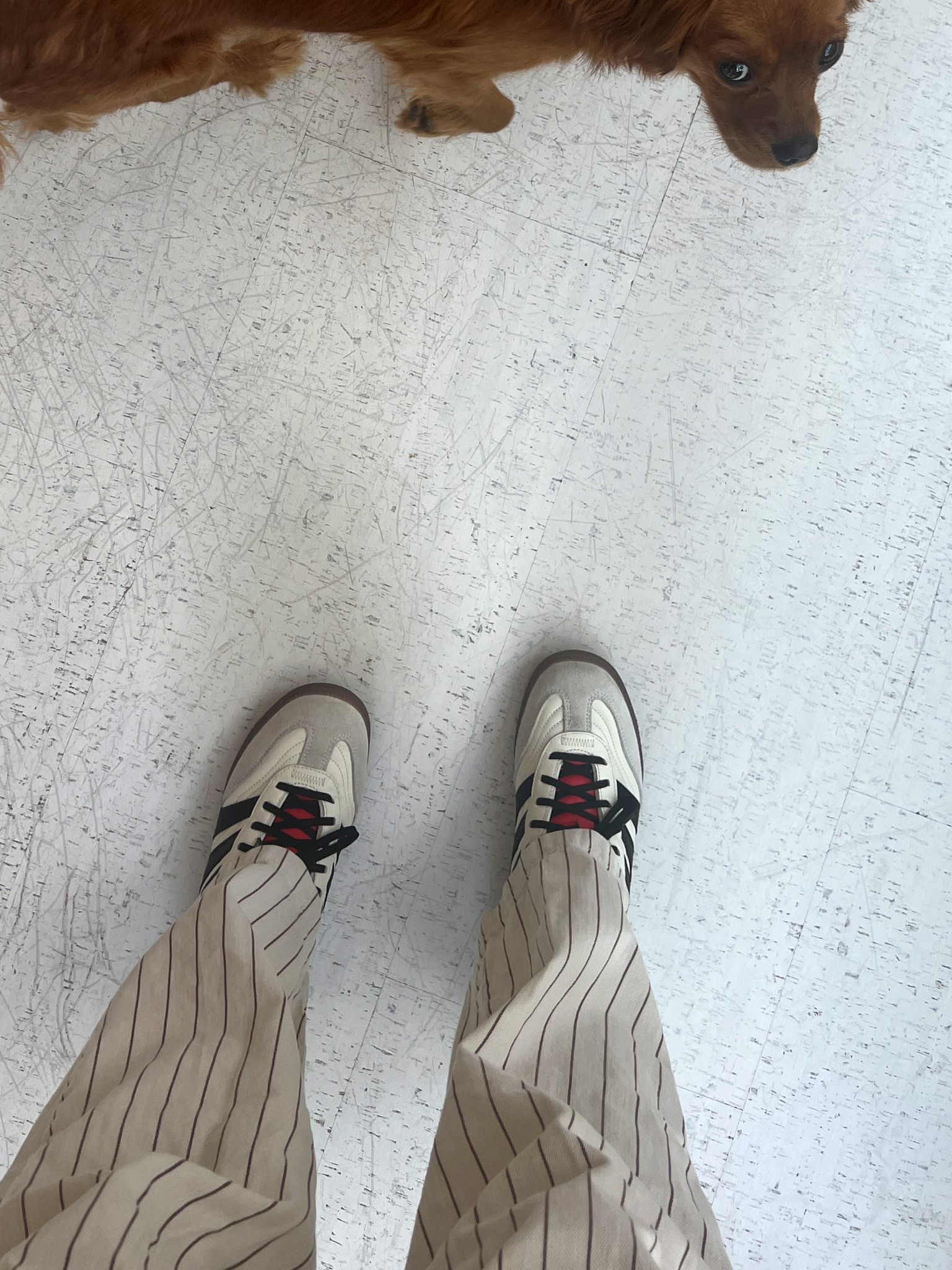 in case you’re bored of the samba saturation 😌

#LTKShoeCrush #LTKFindsUnder100 #LTKStyleTip