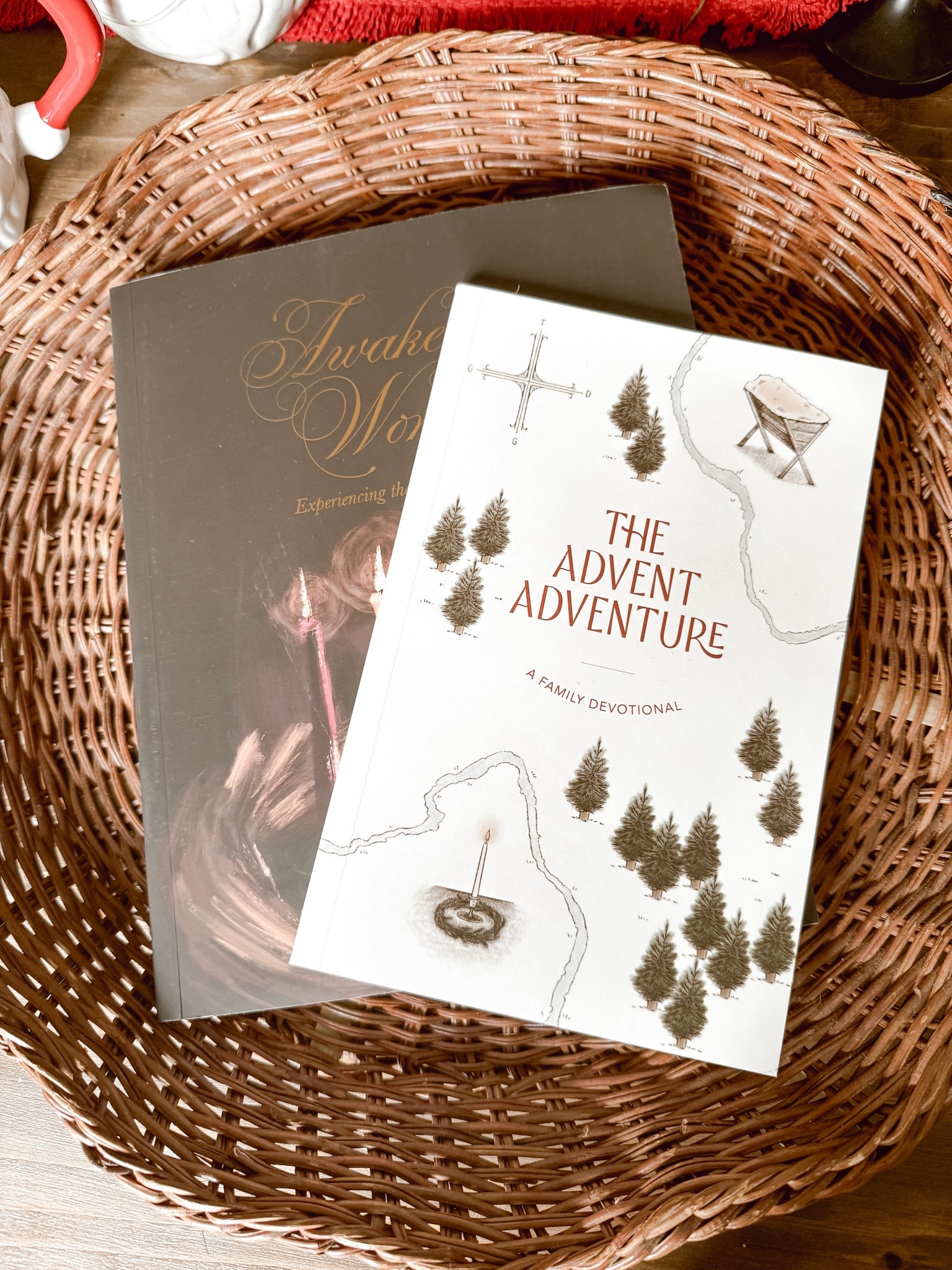 Christmas advent adventure book - family devotion - advent study guidee

#LTKFamily #LTKHoliday #LTKmomlife