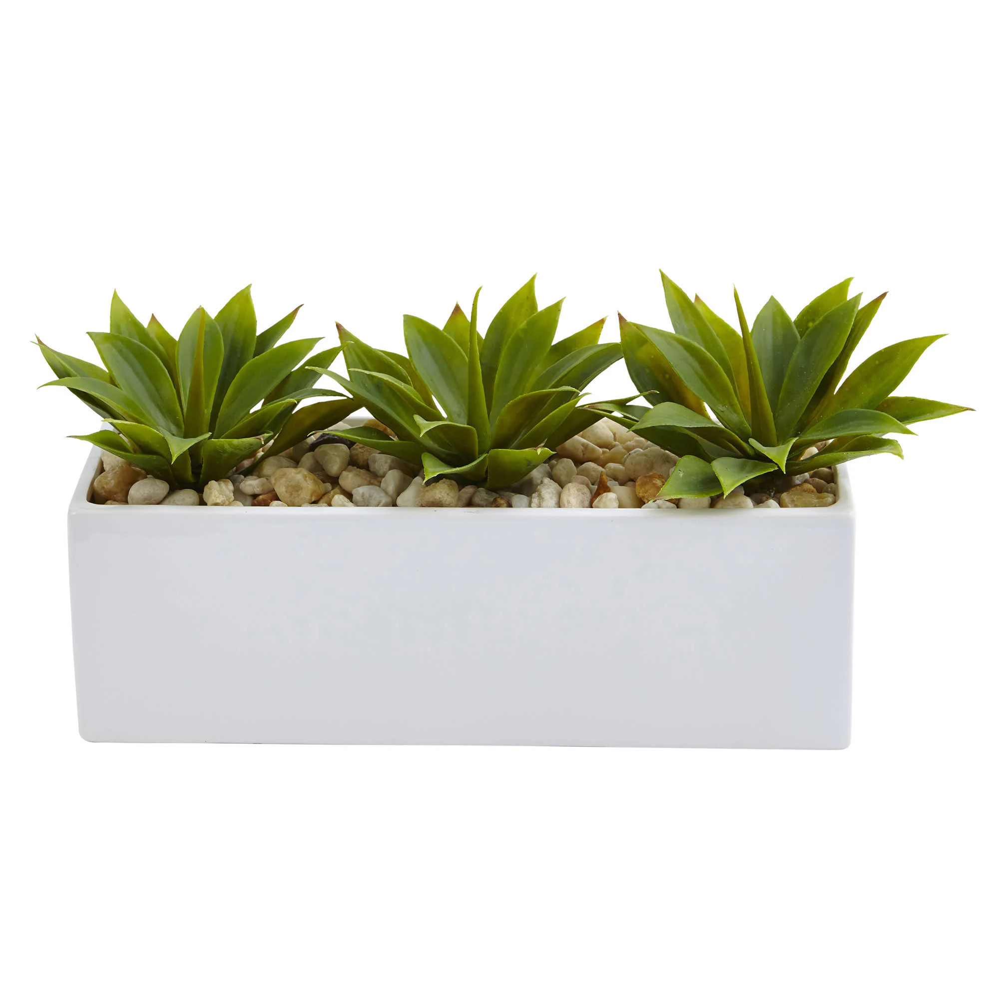 Agave Succulent in Rectangular Planter | Bed Bath & Beyond