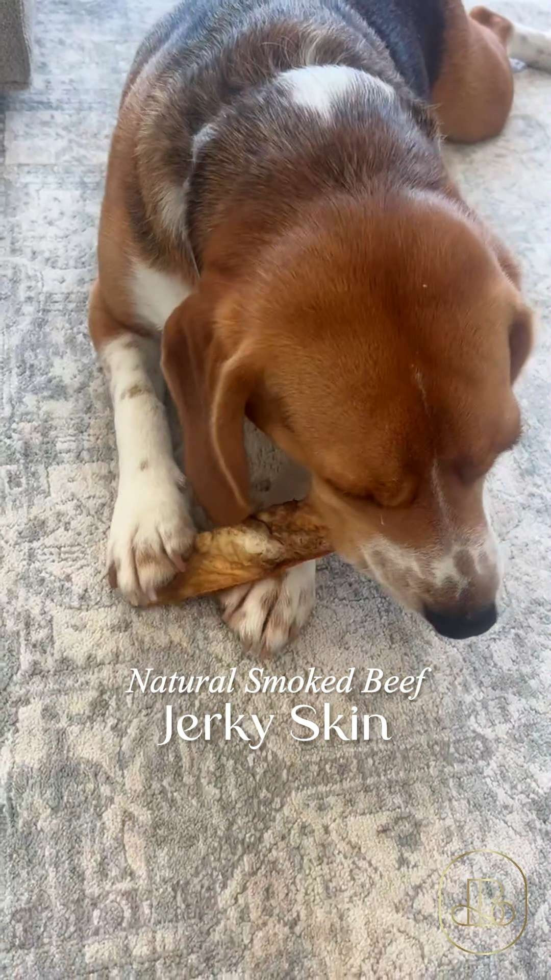 A solid go-to for pups who love a long-lasting chew 🦴 Powerpet’s smoked beef jerky skin delivers that irresistible chew dogs crave while keeping snack time exciting. Great texture, simple ingredients, and perfect for treating without the guilt 🐾 #dogtreats #petmusthaves #dogchewtime #petfavorites #petfinds #dogparents 

#LTKHome #LTKFindsUnder50