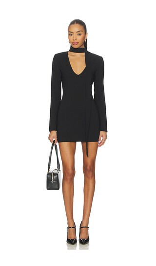 Diana Mini Dress in Black | Revolve Clothing (Global)