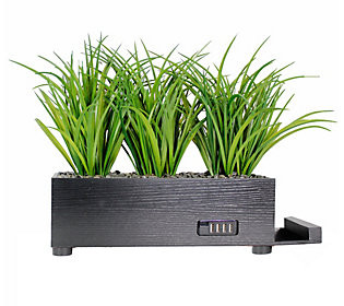 4-Port USB Power Plant Charging Station - Grass | QVC
