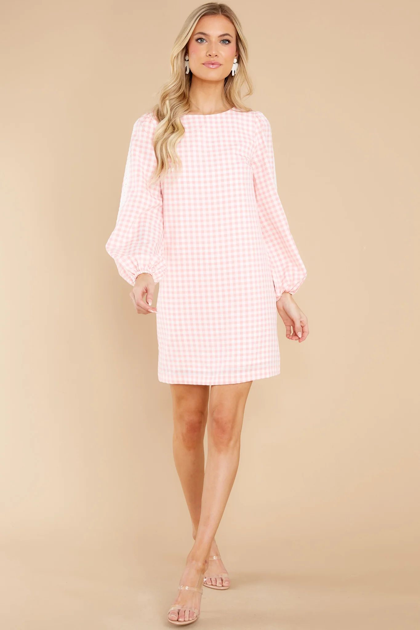 Carefreely Content Pink Gingham Mini Dress | Red Dress 