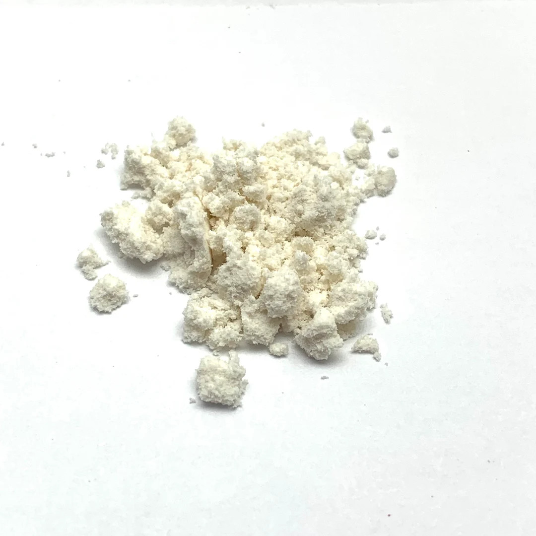 Green Coconut Powder for Hermit Crabs - Natural Pigments - Pour N’ Go Food Tube ™ - Etsy | Etsy (US)