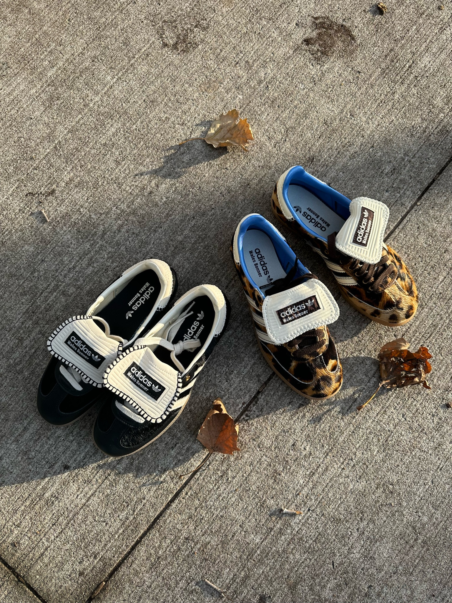 These are two of the most fashionable Adidas Samba collaborations of the year from Wales Bonner.  Which version do you like more - black or leopard?

#sneakerstyle #adidas #samba #walesbonner #shoes

#LTKshoecrush #LTKstyletip #LTKHoliday