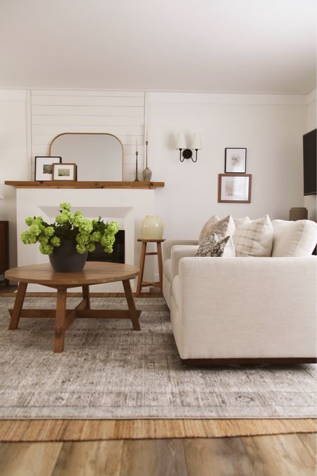 summer living room styling 

#LTKHome #LTKSaleAlert #LTKFindsUnder100