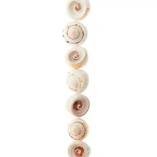 White Swirl Shell Beads, 16mm by Bead Landing™ | Michaels | Michaels Stores