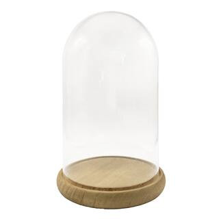 9.5" Glass Cloche by Ashland® | Michaels | Michaels Stores