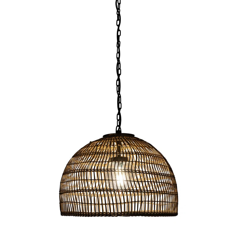 Aundra Outdoor Pendant | Wayfair North America
