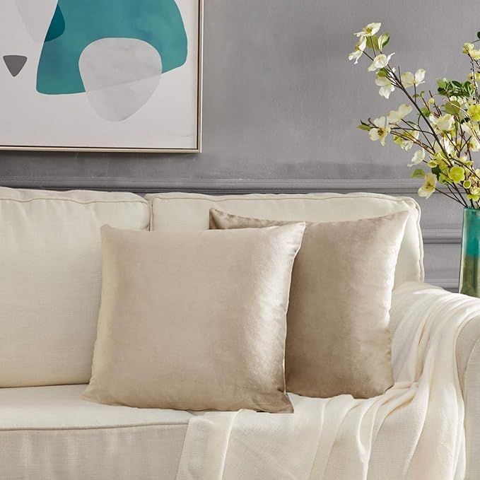 GIGIZAZA Decorative Couch Throw Pillow Cover,Sofa 18x18 Cream Throw Pillows,Square Farmhouse Velv... | Amazon (US)
