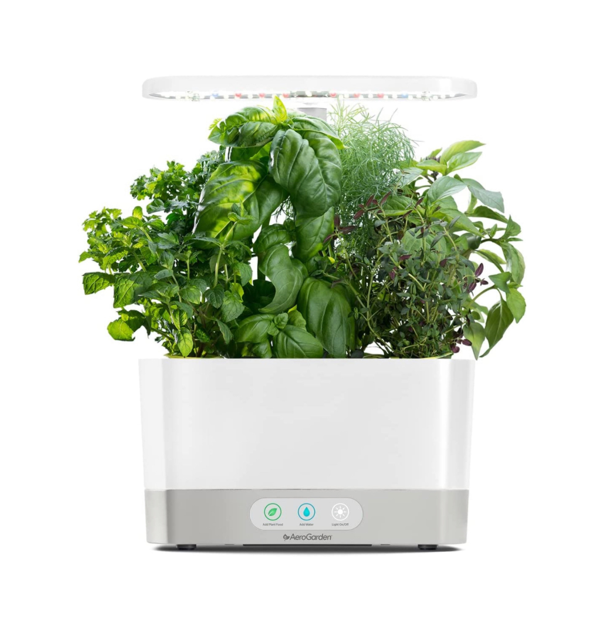 Indoor herb mini garden 

#LTKhome #LTKxNSale #LTKxPrimeDay