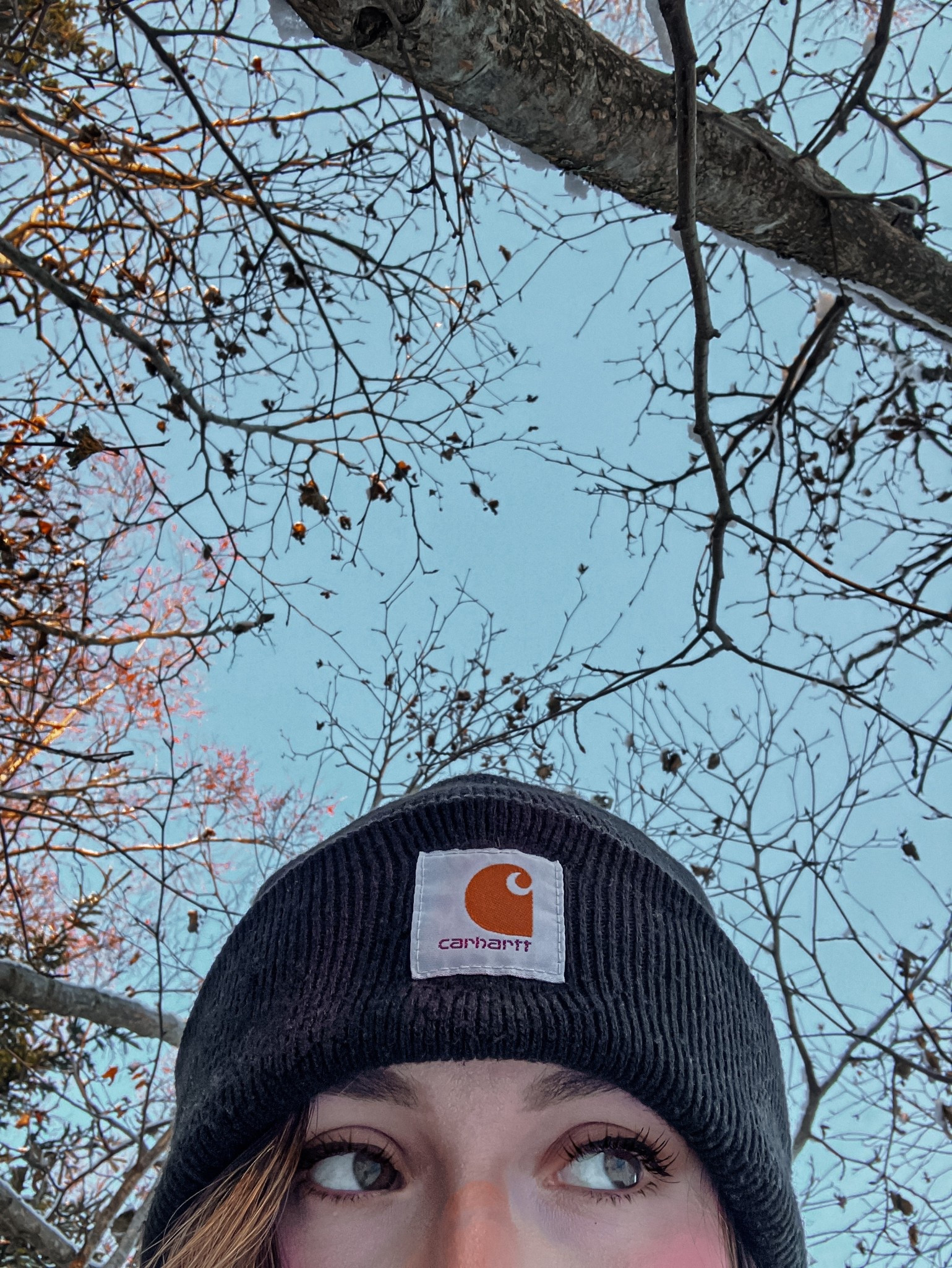 young, wild, and freezin’ but this carhartt beanie’s got me covered ❄️

#LTKootd #LTKWorkwear #LTKdayinmylife