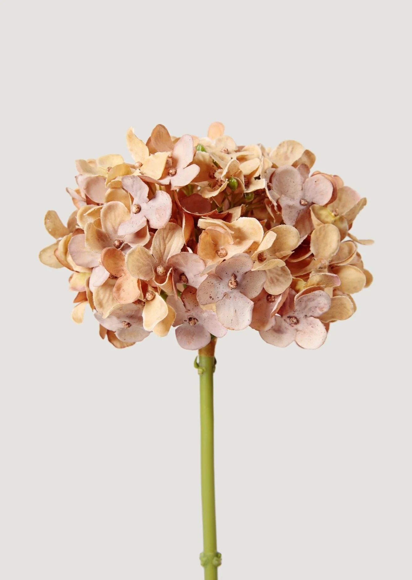 Tan Brown Hydrangea | Faux Fall Flowers | Afloral.com | Afloral