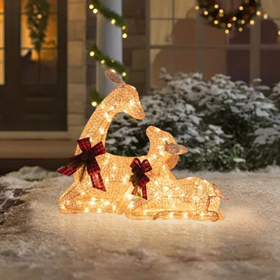 Sunjoy 2-Piece Christmas Lighted Lying Deer, 3D Tinsel Santa Lying Deer Outdoor Indoor Garden Yard Lawn Festive Holiday Decoration with Lights | Wayfair North America