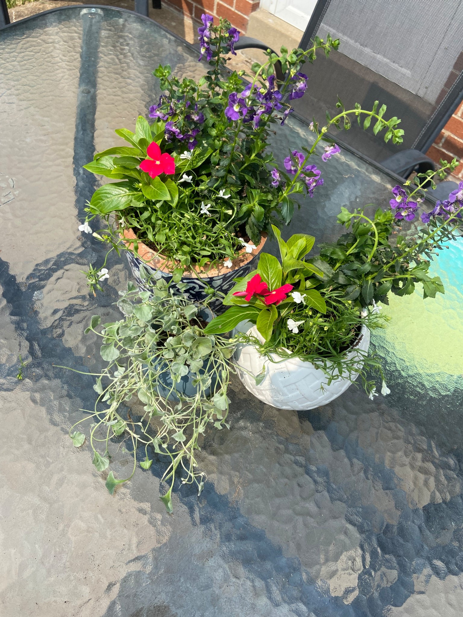 Red, white, and blue, flower vibes 