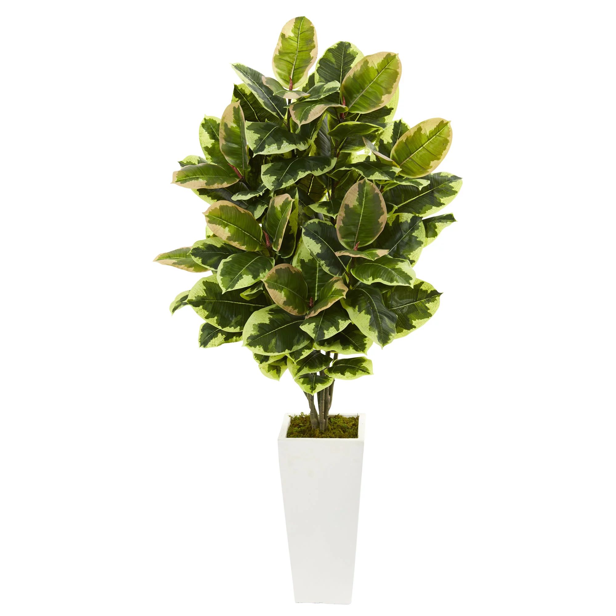 Nearly Natural 48" Green Variegated Rubber Leaf Plastic Artificial Plant in White Vase | Walmart (US)