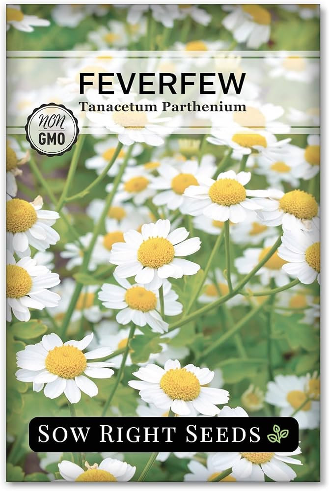 Sow Right Seeds - Feverfew Seeds for Planting - Non-GMO Heirloom Packet with Instructions to Plan... | Amazon (US)