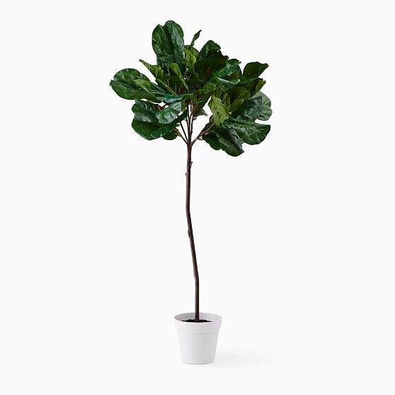 Faux Potted Fiddle Leaf Fig Tree, 7' | West Elm (US)